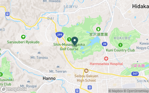 新武蔵丘ゴルフコースの地図