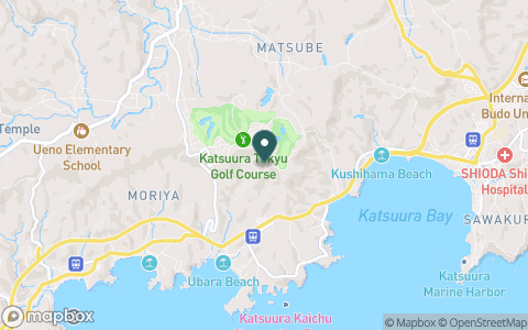 勝浦東急ゴルフコースの地図