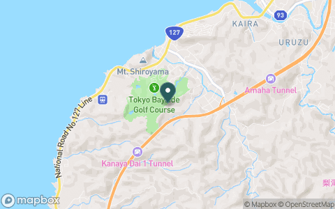 東京ベイサイドゴルフコース【ＰＧＭ】の地図
