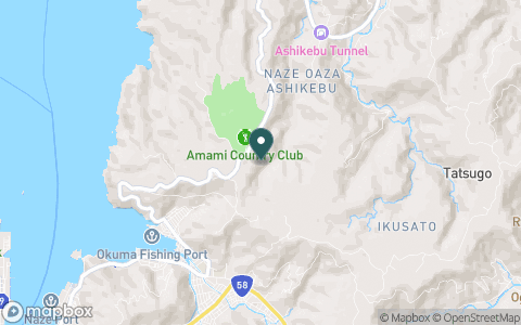 奄美カントリークラブの地図